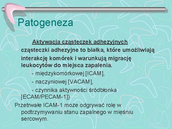 Patogeneza Aktywacja cząsteczek adhezyjnych cząsteczki adhezyjne to białka, które umożliwiają interakcję komórek i warunkują