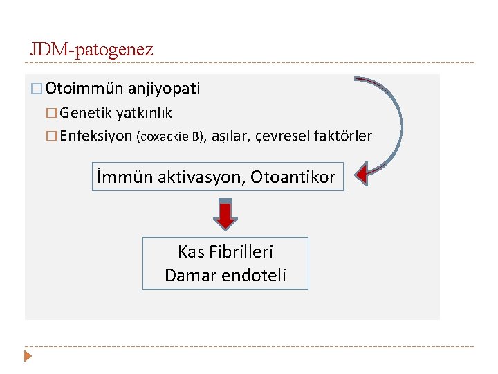 JDM-patogenez � Otoimmün anjiyopati � Genetik yatkınlık � Enfeksiyon (coxackie B), aşılar, çevresel faktörler