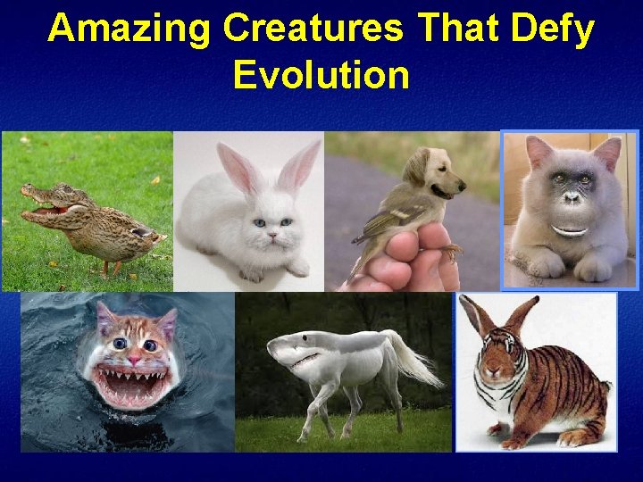 Amazing Creatures That Defy Evolution 