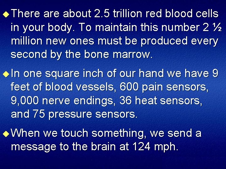 u There about 2. 5 trillion red blood cells in your body. To maintain