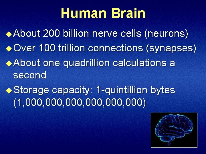 Human Brain u About 200 billion nerve cells (neurons) u Over 100 trillion connections