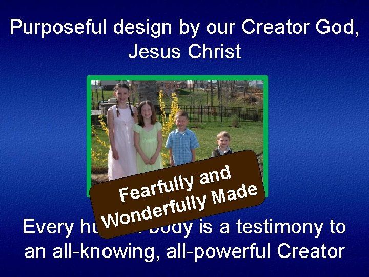 Purposeful design by our Creator God, Jesus Christ d n a y l l