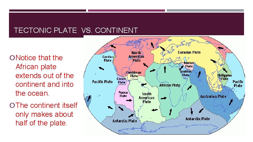 TECTONIC PLATE VS. CONTINENT Notice that the African plate extends out of the continent