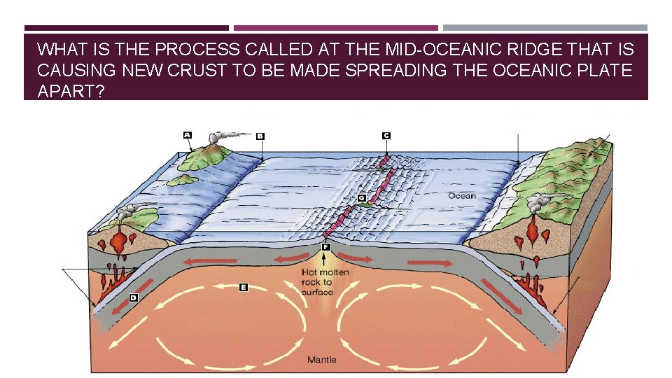 WHAT IS THE PROCESS CALLED AT THE MID-OCEANIC RIDGE THAT IS CAUSING NEW CRUST