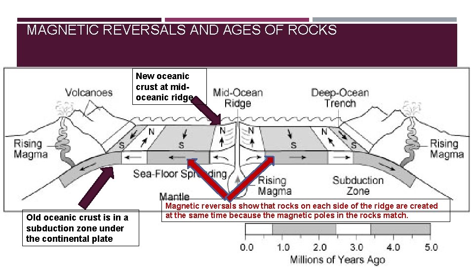 MAGNETIC REVERSALS AND AGES OF ROCKS New oceanic crust at midoceanic ridge Old oceanic