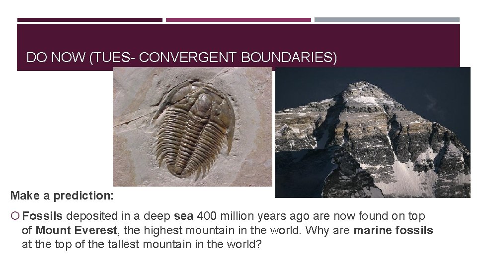 DO NOW (TUES- CONVERGENT BOUNDARIES) Make a prediction: Fossils deposited in a deep sea