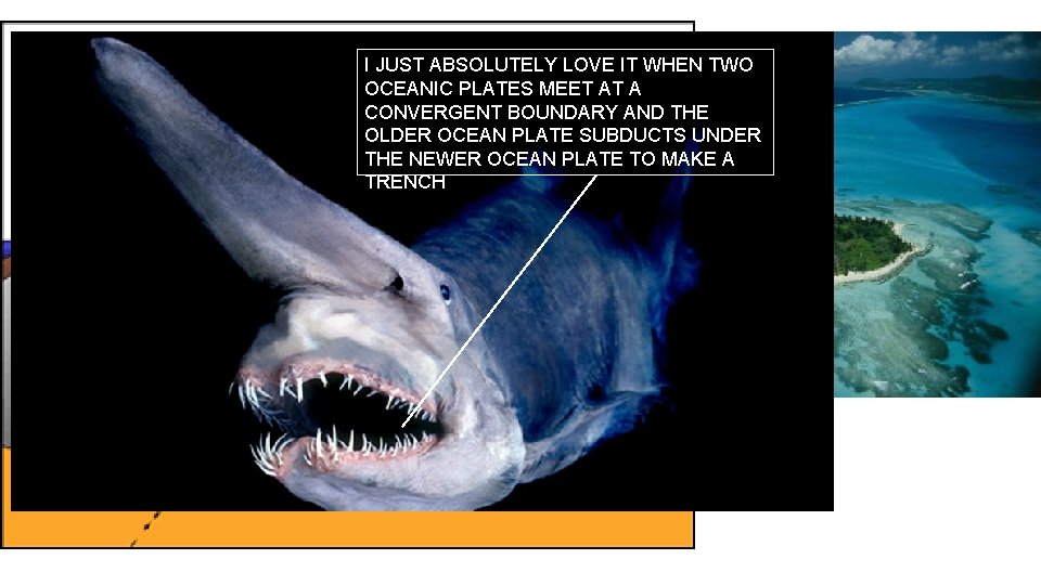 MARIANAS TRENCH I JUST ABSOLUTELY LOVE IT WHEN TWO OCEANIC PLATES MEET AT A