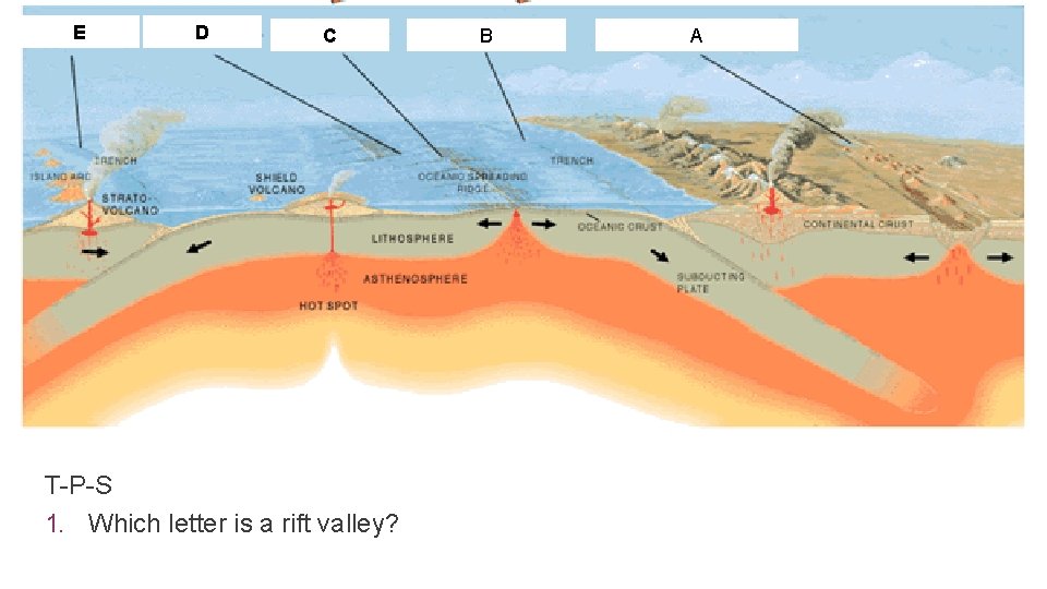 E D C T-P-S 1. Which letter is a rift valley? B A 