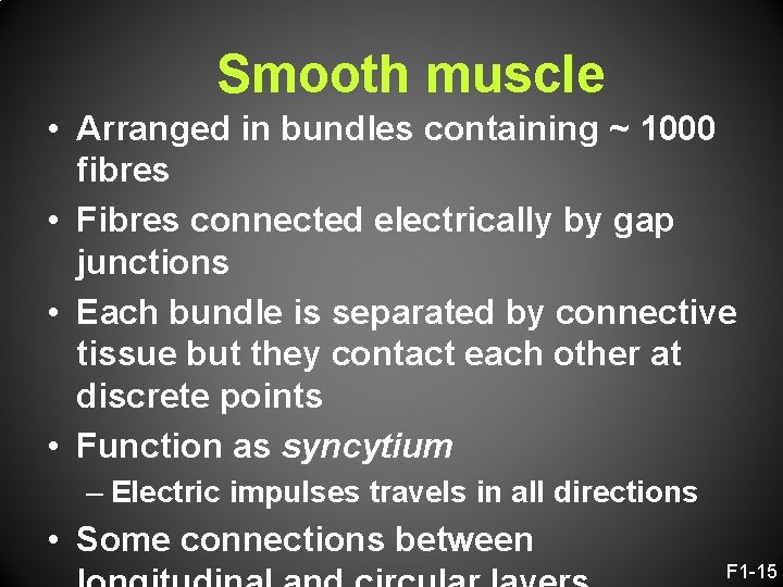 Smooth muscle • Arranged in bundles containing ~ 1000 fibres • Fibres connected electrically