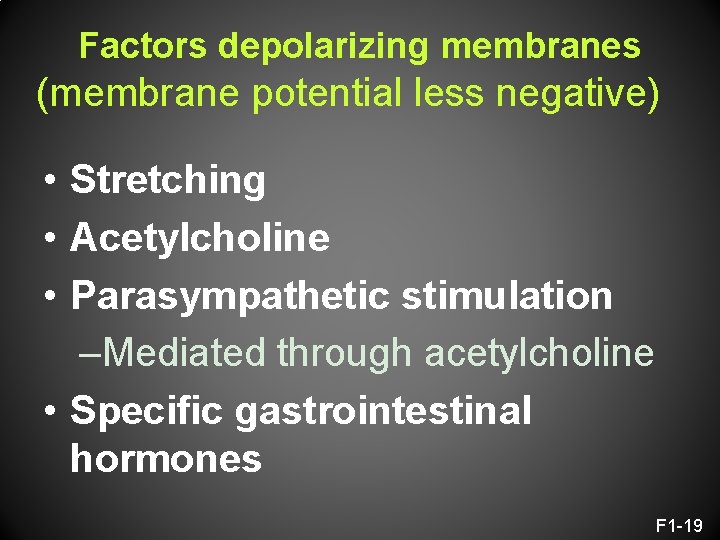 Factors depolarizing membranes (membrane potential less negative) • Stretching • Acetylcholine • Parasympathetic stimulation