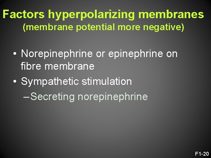 Factors hyperpolarizing membranes (membrane potential more negative) • Norepinephrine or epinephrine on fibre membrane