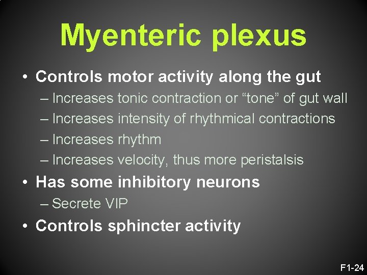 Myenteric plexus • Controls motor activity along the gut – Increases tonic contraction or