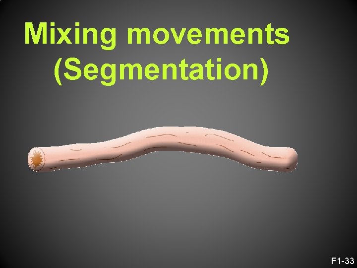 Mixing movements (Segmentation) F 1 -33 