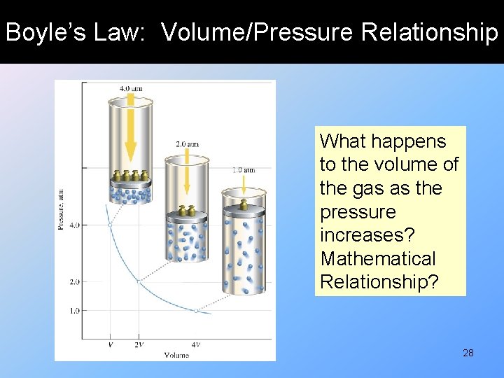 Boyle’s Law: Volume/Pressure Relationship What happens to the volume of the gas as the