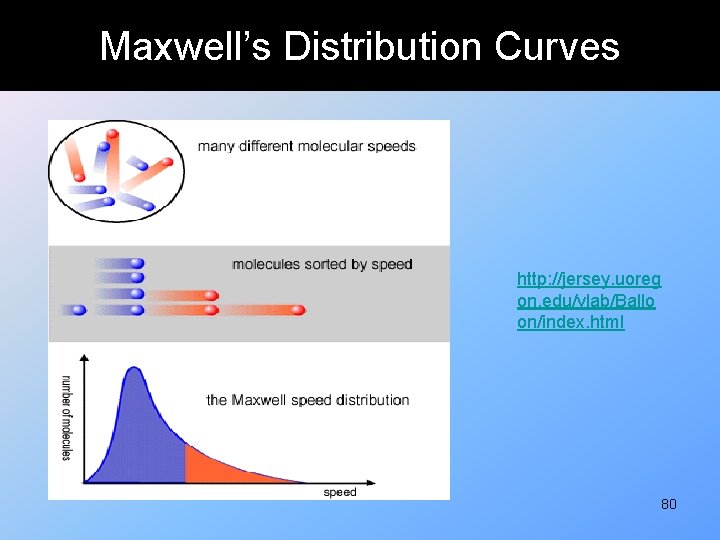 Maxwell’s Distribution Curves http: //jersey. uoreg on. edu/vlab/Ballo on/index. html 80 