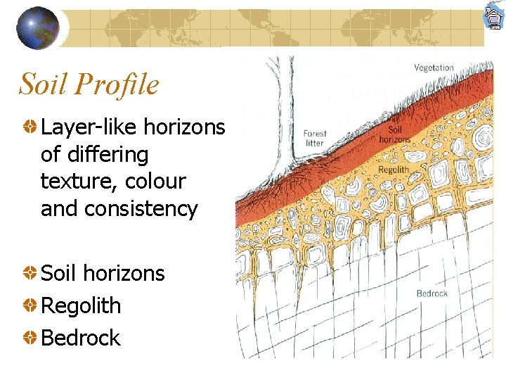 Soil Profile Layer-like horizons of differing texture, colour and consistency Soil horizons Regolith Bedrock