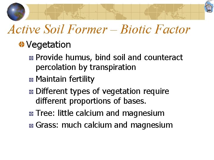 Active Soil Former – Biotic Factor Vegetation Provide humus, bind soil and counteract percolation