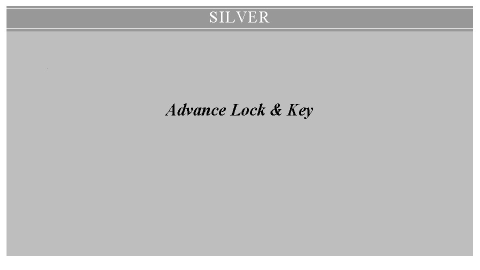 SILVER Advance Lock & Key 