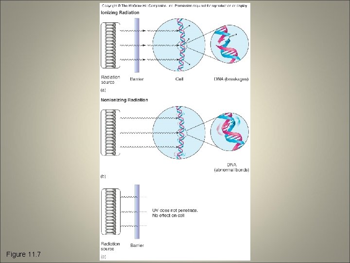 Figure 11. 7 