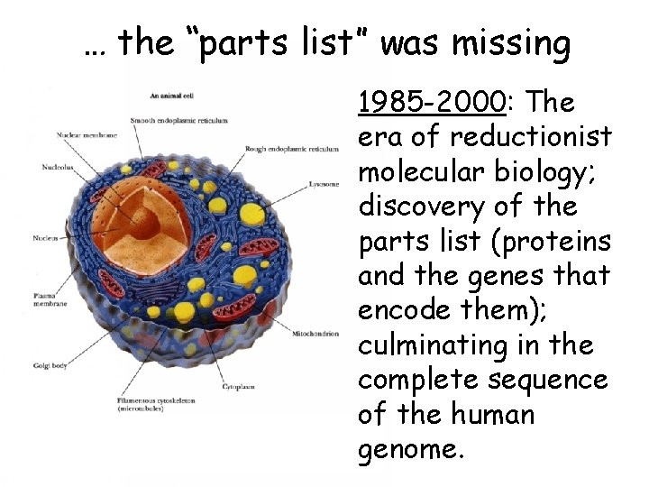 … the “parts list” was missing 1985 -2000: The era of reductionist molecular biology;