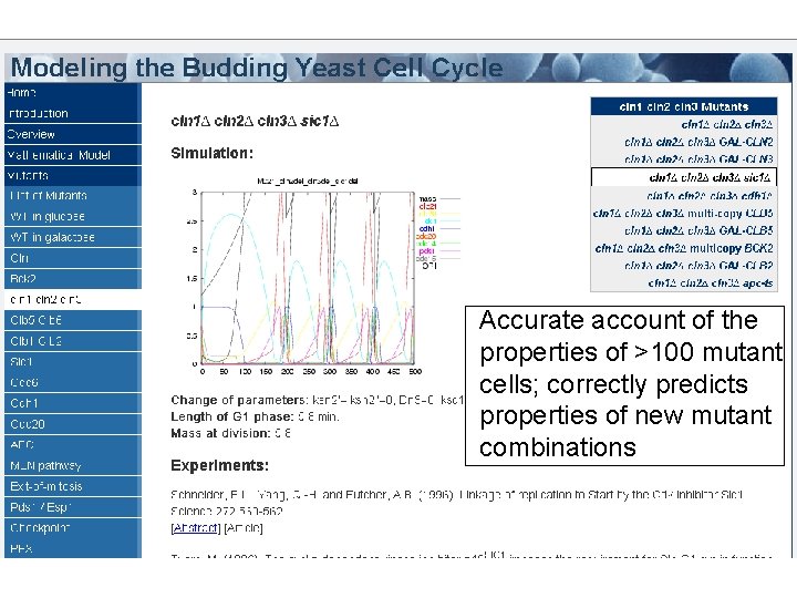 Accurate account of the properties of >100 mutant cells; correctly predicts properties of new