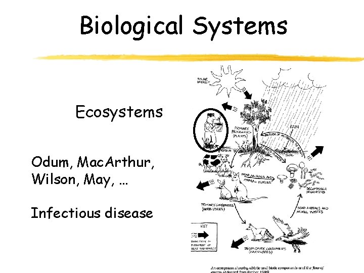 Biological Systems Ecosystems Odum, Mac. Arthur, Wilson, May, … Infectious disease 
