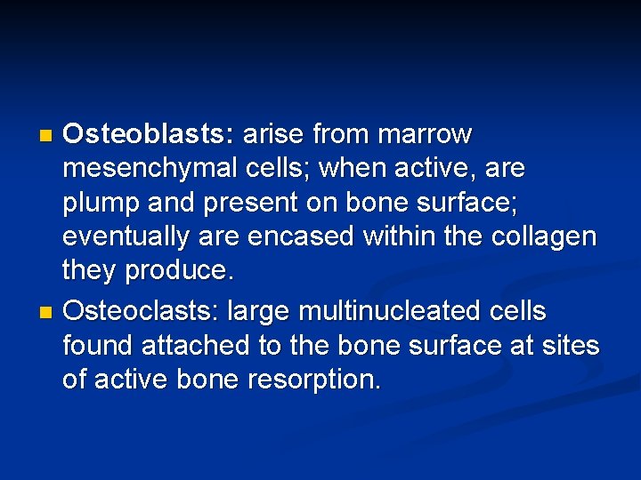 Osteoblasts: arise from marrow mesenchymal cells; when active, are plump and present on bone