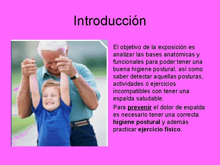 Introducción • El objetivo de la exposición es analizar las bases anatómicas y funcionales