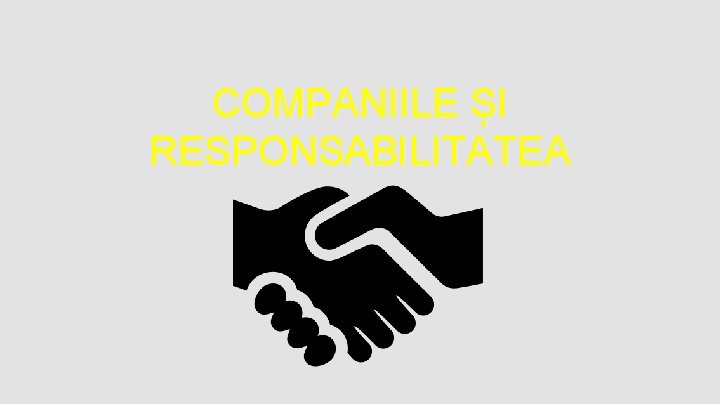 COMPANIILE ȘI RESPONSABILITATEA 