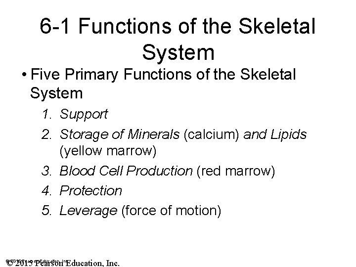 6 -1 Functions of the Skeletal System • Five Primary Functions of the Skeletal