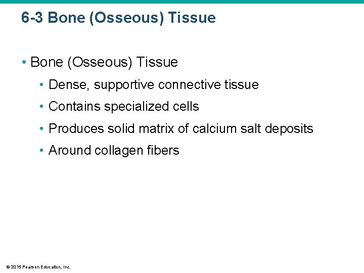 6 -3 Bone (Osseous) Tissue • Dense, supportive connective tissue • Contains specialized cells