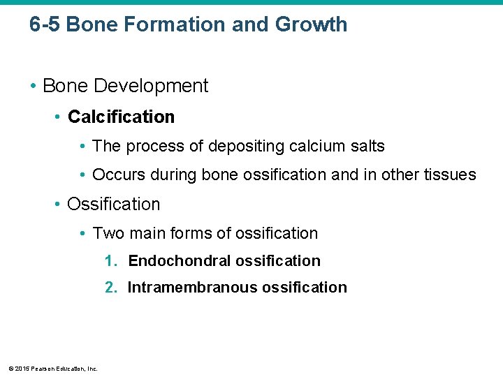 6 -5 Bone Formation and Growth • Bone Development • Calcification • The process