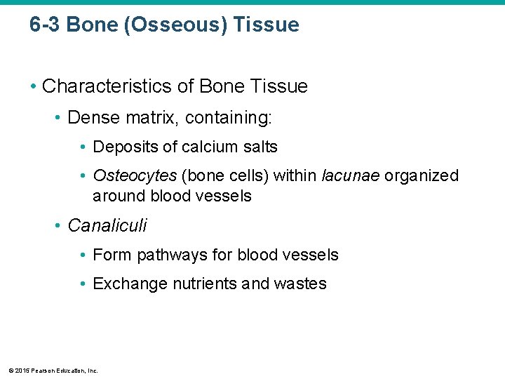 6 -3 Bone (Osseous) Tissue • Characteristics of Bone Tissue • Dense matrix, containing: