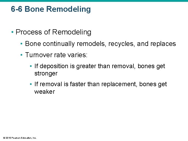 6 -6 Bone Remodeling • Process of Remodeling • Bone continually remodels, recycles, and