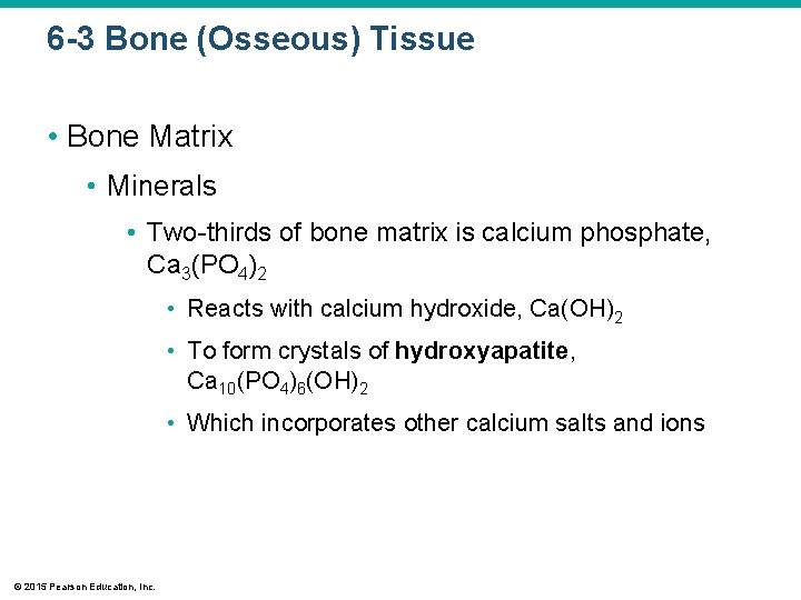 6 -3 Bone (Osseous) Tissue • Bone Matrix • Minerals • Two-thirds of bone