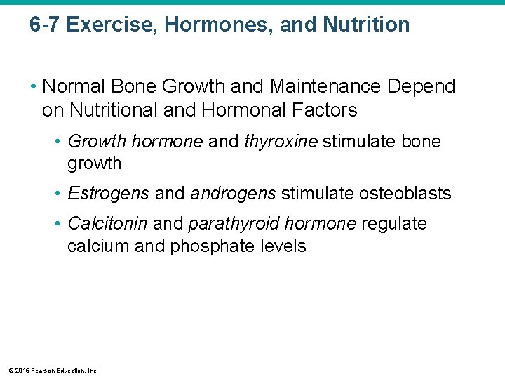 6 -7 Exercise, Hormones, and Nutrition • Normal Bone Growth and Maintenance Depend on