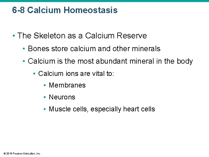 6 -8 Calcium Homeostasis • The Skeleton as a Calcium Reserve • Bones store