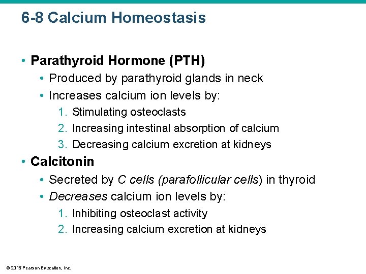 6 -8 Calcium Homeostasis • Parathyroid Hormone (PTH) • Produced by parathyroid glands in