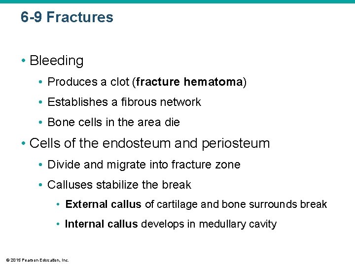 6 -9 Fractures • Bleeding • Produces a clot (fracture hematoma) • Establishes a