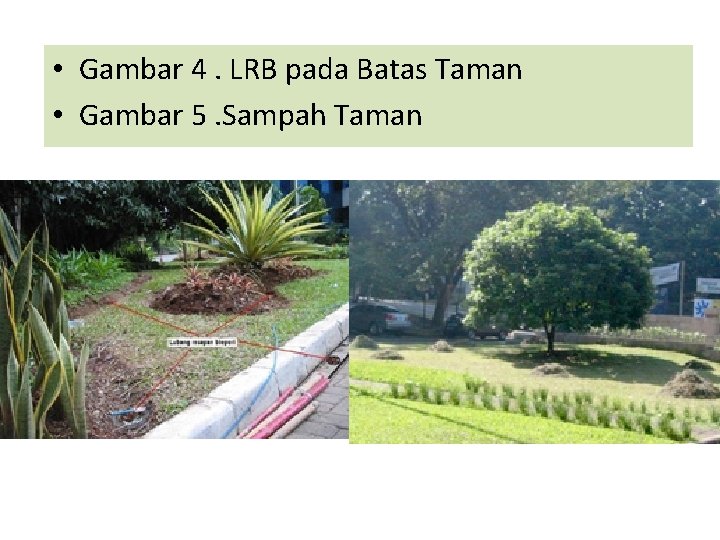  • Gambar 4. LRB pada Batas Taman • Gambar 5. Sampah Taman 