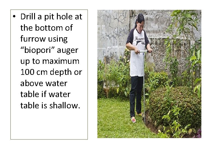  • Drill a pit hole at the bottom of furrow using “biopori” auger