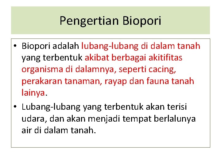 Pengertian Biopori • Biopori adalah lubang-lubang di dalam tanah yang terbentuk akibat berbagai akitifitas