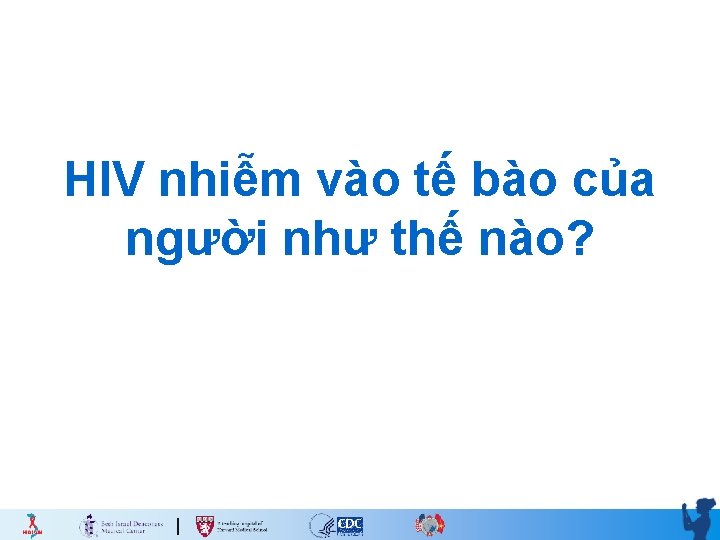 HIV nhiễm vào tế bào của người như thế nào? 