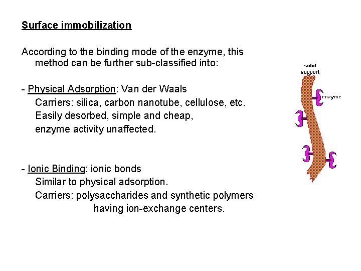 Surface immobilization According to the binding mode of the enzyme, this method can be