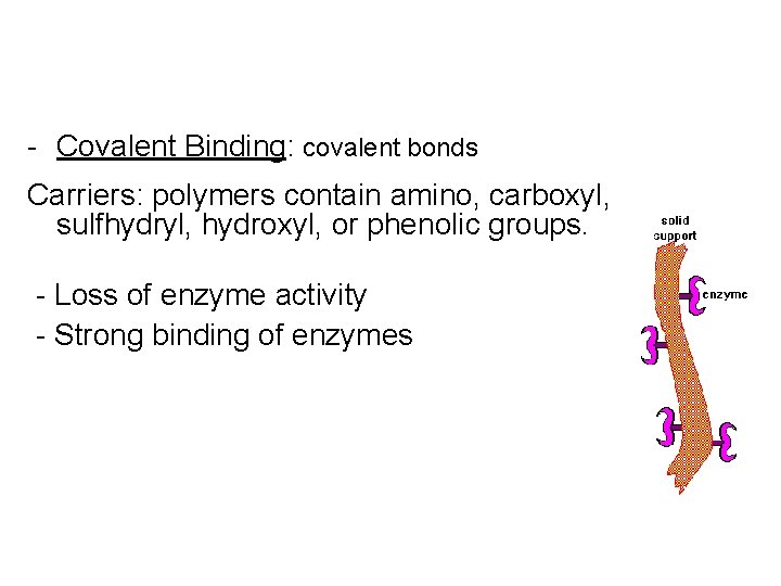 - Covalent Binding: covalent bonds Carriers: polymers contain amino, carboxyl, sulfhydryl, hydroxyl, or phenolic