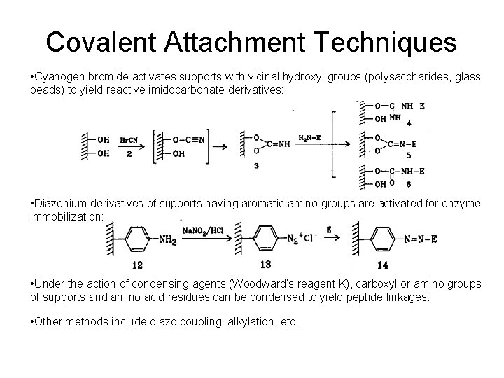 Covalent Attachment Techniques • Cyanogen bromide activates supports with vicinal hydroxyl groups (polysaccharides, glass