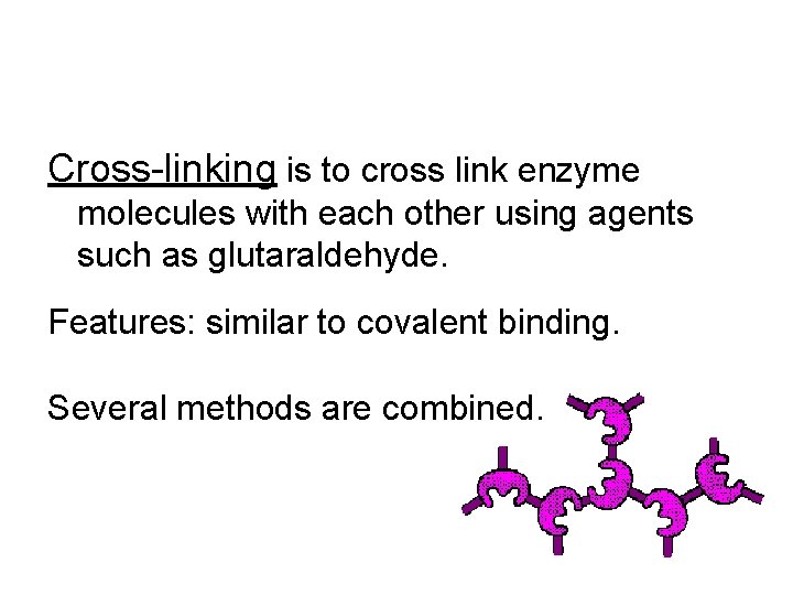 Cross-linking is to cross link enzyme molecules with each other using agents such as