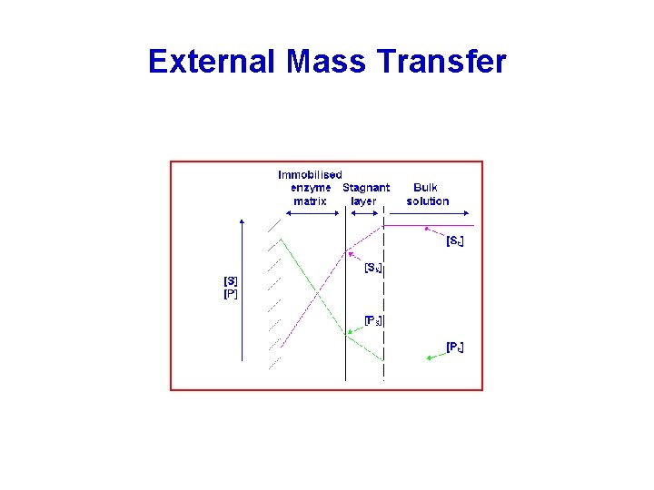 External Mass Transfer 