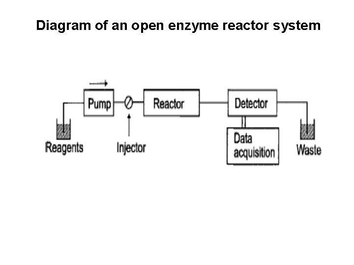 Diagram of an open enzyme reactor system 