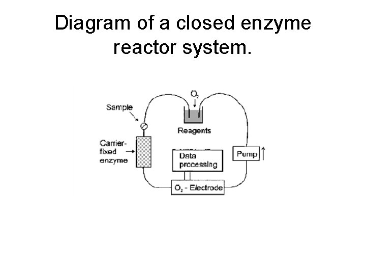 Diagram of a closed enzyme reactor system. 